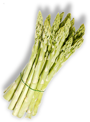 Spargel
